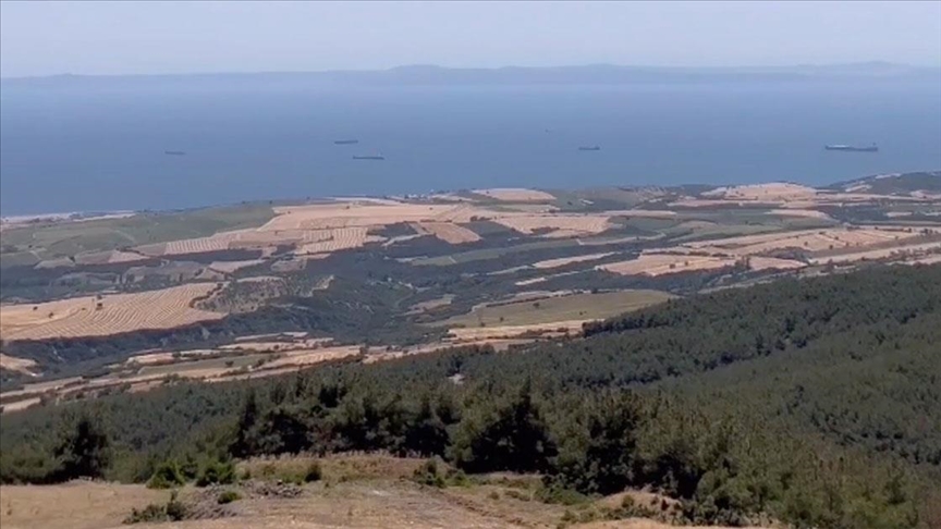 Tekirdağ’da orman yangınının neden olduğu tahribat havadan görüntülendi Tekirdağ'ın Şarköy ilçesinde tarım arazisinde başlayarak ormanlık alana sıçrayan yangının
